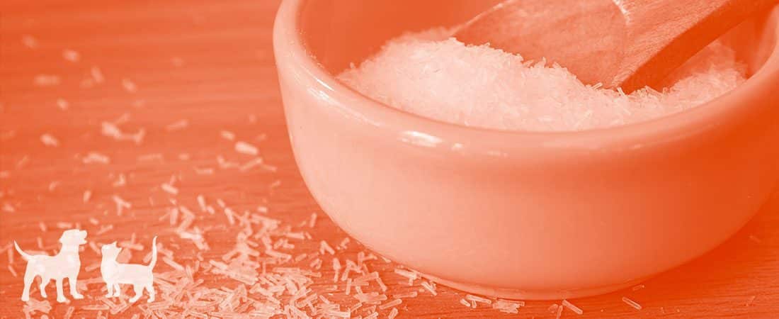 MSG-header Two small white dog silhouettes on a wooden surface beside a pink bowl filled with salt and a wooden spoon resting inside.