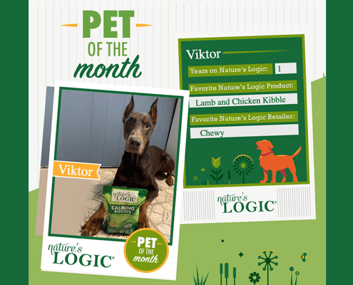 Pet of the Month poster featuring Viktor the dog with a bag of Calming Biscuits and a green information card listing his favorite Nature's Logic product, Lamb and Chicken Kibble.