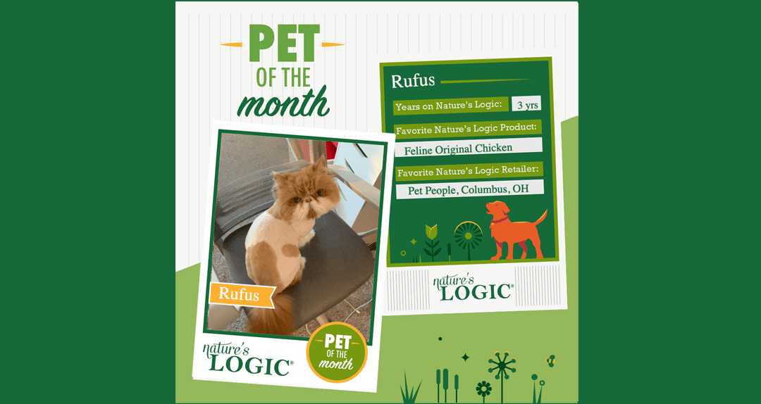 rufus Pet of the month poster featuring Rufus the cat and a Nature's Logic information panel.