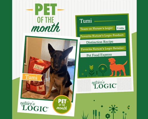 Collage-style poster titled 'Pet of the Month' featuring a dog named Tumi and a panel of Nature's Logic dog food products.